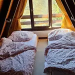 Cozy Roofed 
